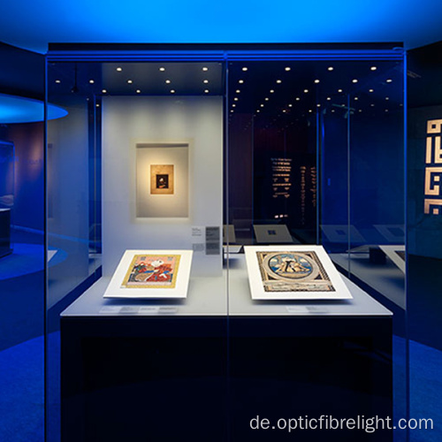 Glasfaser-Displaybeleuchtung für Museen